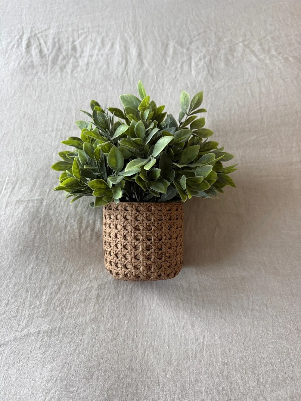 Artificial Boxwood Plant in Woven Brown Planter - Home Accents